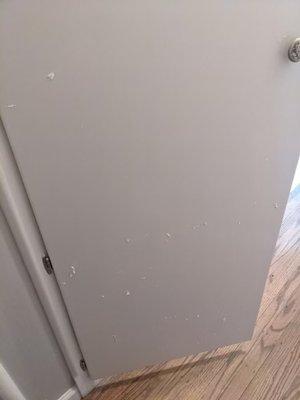 paint bubbling and peeling on doors