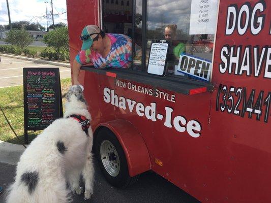 RioTheBorzoi ordering his Dog Daze Canine Cup!