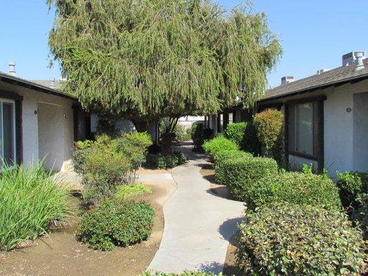 Walkway and landscaping