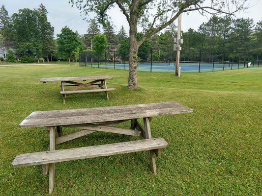 Picnic Tables (two of many)