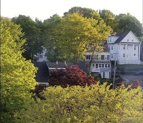 from SOA, a view up the local hill area during springtime . . .