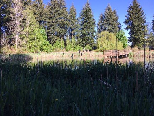 Main pond with pier.