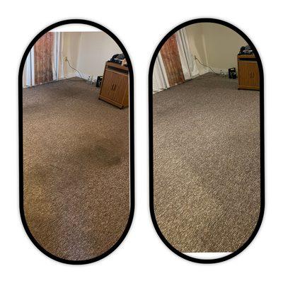 Milwaukee Carpet Cleaning