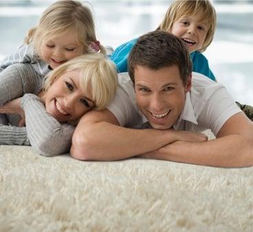 Organic Dry Carpet Cleaning