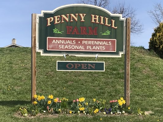 Penny Hill Farm