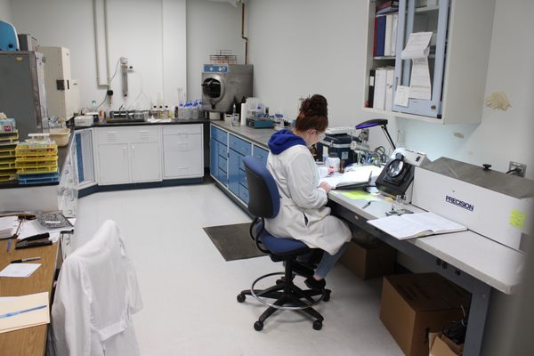 Employee working in one of our labs.