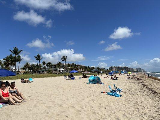 Lauderdale by the Sea Beach