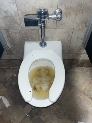 Toilet with human feces