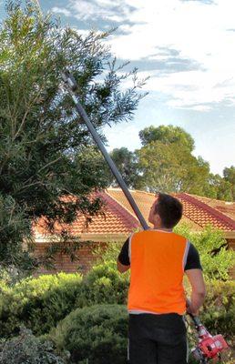 Tree trimming in Melbourne Beach