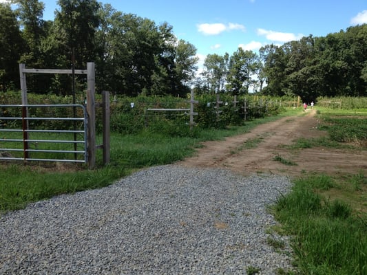 Entrance to pick your own berries peaches and apples.