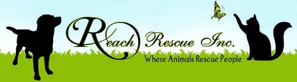 Reach Rescue, Inc. is a 501(c)(3) not for profit animal rescue group serving the greater Chicagoland area.