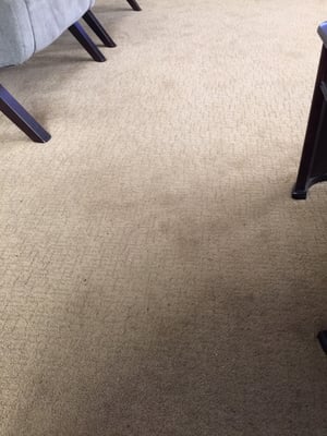 3L Carpet Cleaning & Maintanace