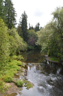 The east fork of the Nehalem River is nearby.