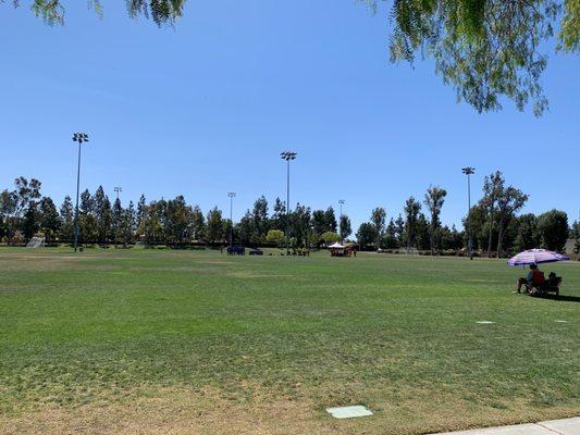 Soccer field.