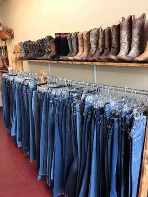 Women's jean selection