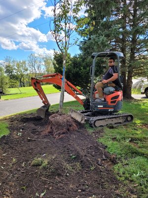 Digging hole to plant trees