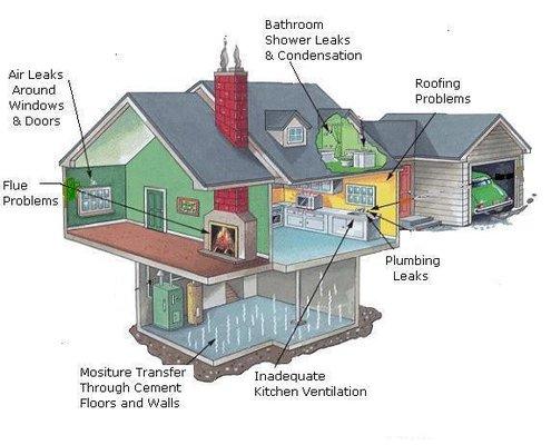 There are several ways mold growth starts inside a building