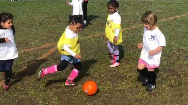 Youth Soccer of New Rochelle