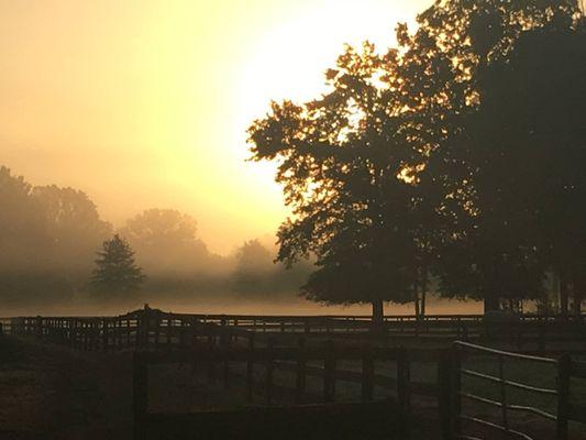 Fields at dawn