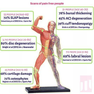 Future proof your body with chiropractic care