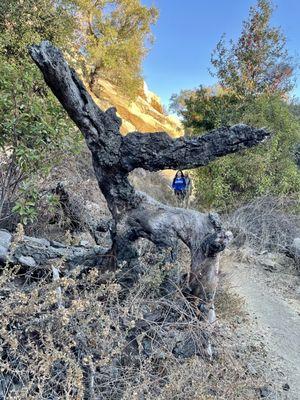 Backbone Trail 12/19/2020