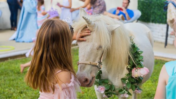 Gorgeous unicorn pony, Clyde