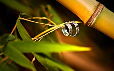 Wedding Rings
Hampton Roads Wedding Photography - ArtBPhotography Inc.