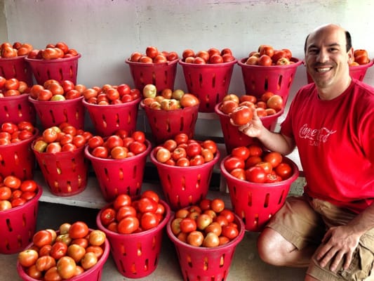 Tomatoes!  The best in the tristate area.