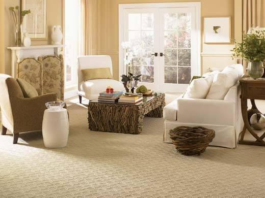 Graceful Shores SmartStrand Forever Clean carpet with All Pet Protection & Warranty in Spanish Gold.