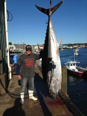 Capt. Mike with a bluefin tuna