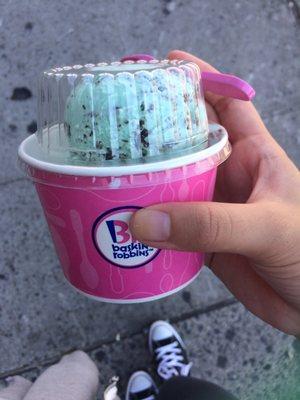 Mint choco ice cream 2 scoops