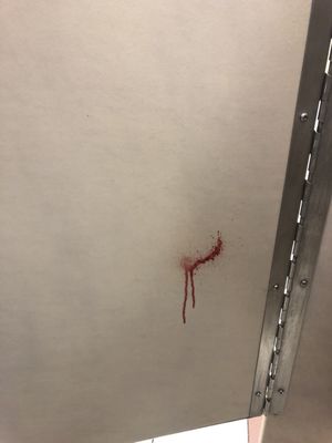 Blood on bathroom door