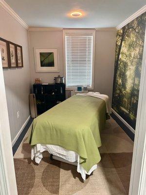 Therapeutic massage "forest room"