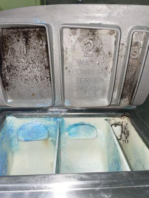 Washer compartments filled with black mold and grime