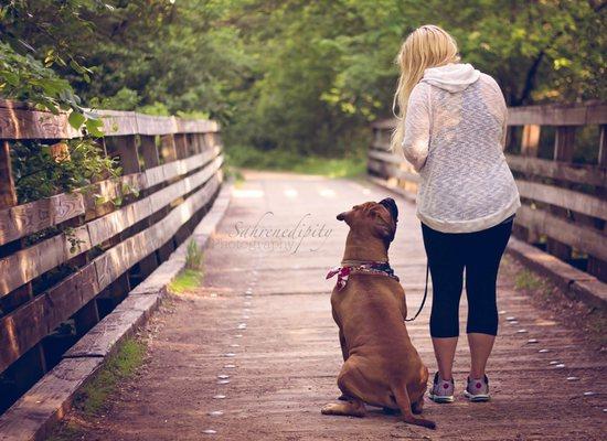 Heart Dog Behavior Training