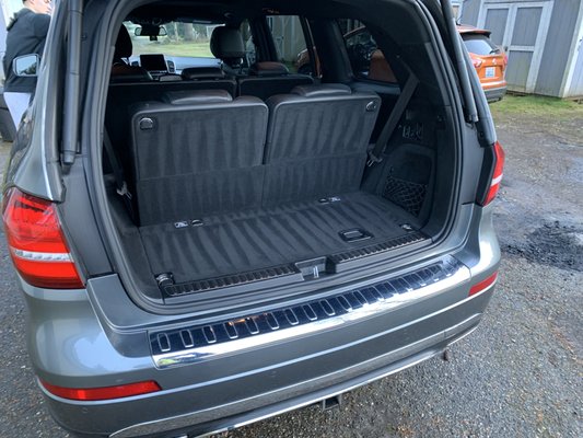 Shampooing the trunk