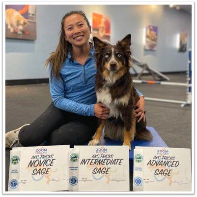 Earn Your AKC Tricks Certification at Zoom Room Huntington Beach!