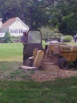 Meanwhile Jamie grinds a stump on the other side of the yard.. Skill and teamwork equal efficiency!