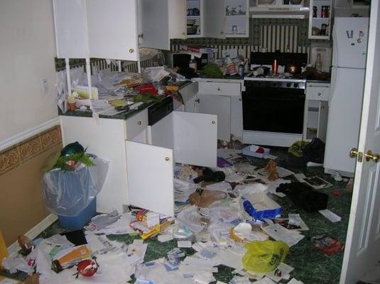 Trashed Kitchen