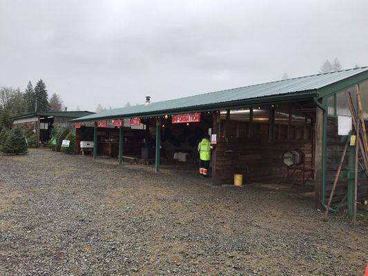 Pilchuck Secret Valley Christmas Tree Farm