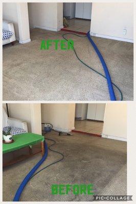 Carpet cleaning by a professional can save you time and money.  Cleaning once a year extends the life of your carpets!