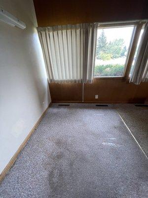 Dining/living room carpet with holes