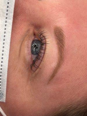 Healed soft blond powder brows