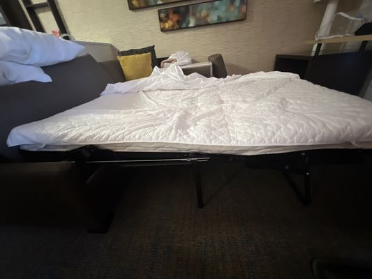 Paper thin mattress with bars jamming your back and legs