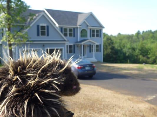 New home construction in Auburn