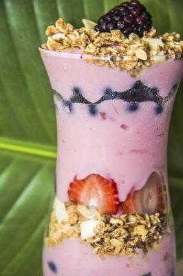 Yogurt parfait! Made with sugar free protein juice + no sugar Greek Yogurt. Only 200 calories and 45g of protein!