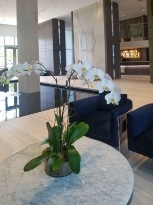 Beautiful just remodeled lobby.