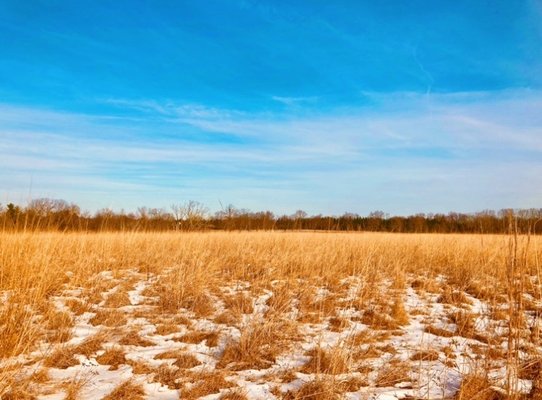 Gwynedd Preserve