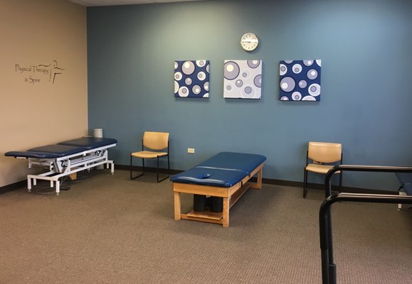 Physical Therapy & Spine - Tinley Park