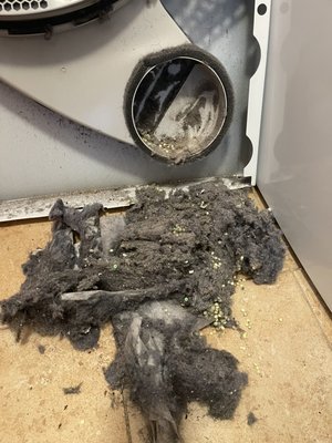 Cleaning the dryer out of lints